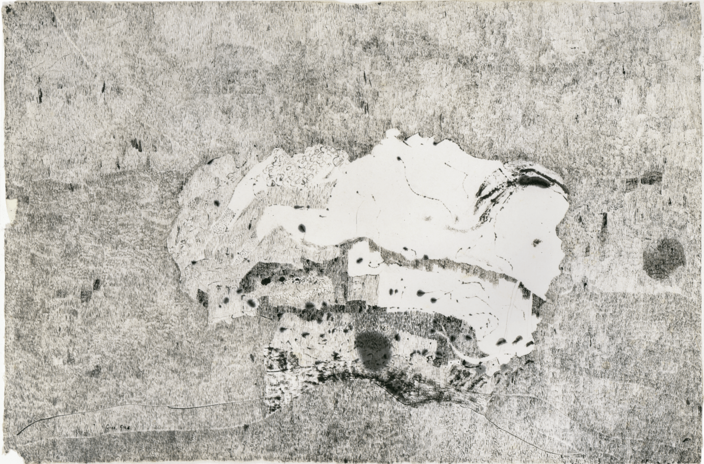 Gras, Gras, 1958  WVZ 58/21, Chinesische Tusche auf Japanpapier, 51 x 77 cm  Privatsammlung, Berlin